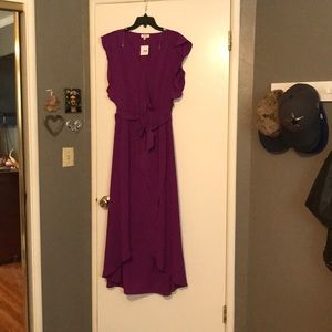 NWT  high low boysenberry purple dress.